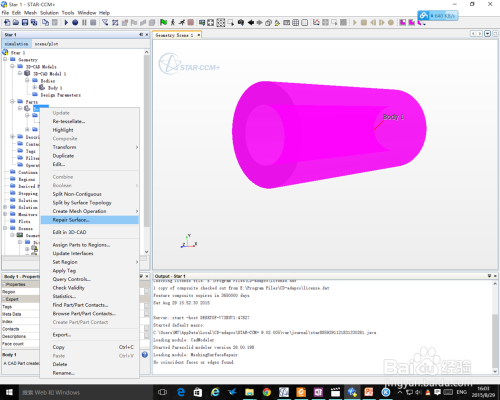 Star-CCM+提取流体域教程的图3